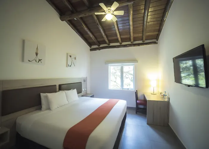 Casa Andina Standard