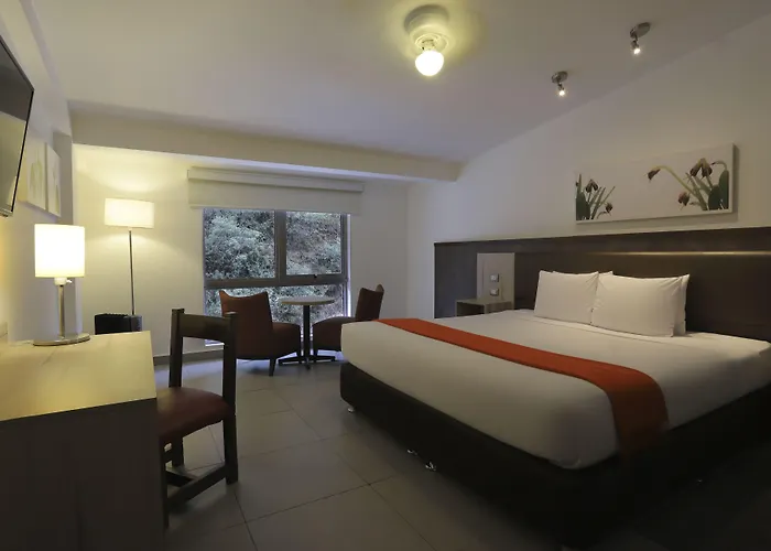 Casa Andina Standard